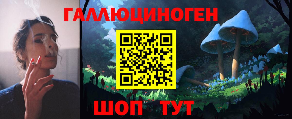 Псилоцибиновые грибы Cubensis Сосновоборск