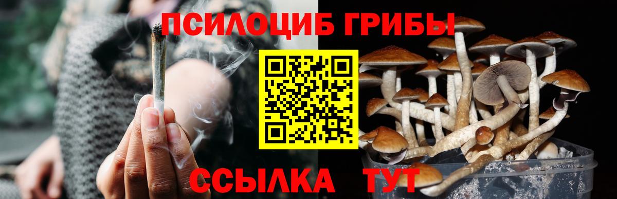 Галлюциногенные грибы Psilocybe  Вход с VPN  Сосновоборск 